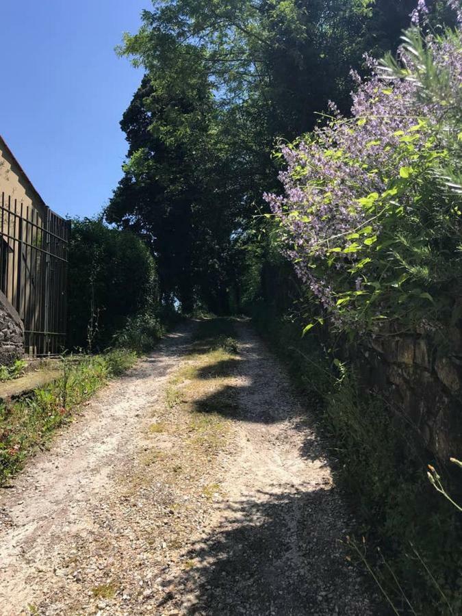 Antica Dimora Di Laura Barberino di Mugello Exterior foto