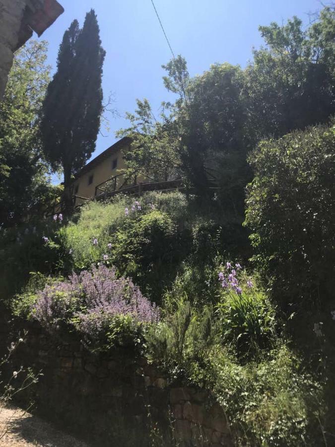 Antica Dimora Di Laura Barberino di Mugello Exterior foto